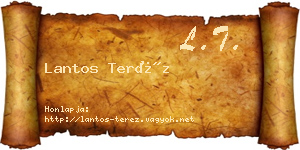 Lantos Teréz névjegykártya